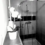 Rosa *
