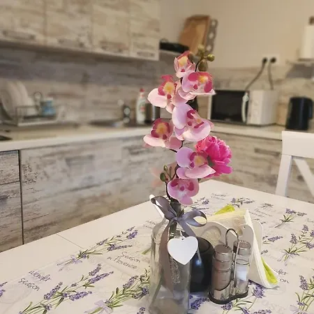 Rosa *
