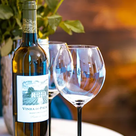 Rosa 홈스테이 카르파츠