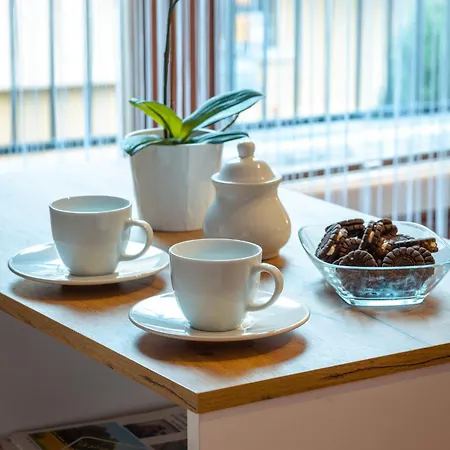 홈스테이 Rosa 카르파츠