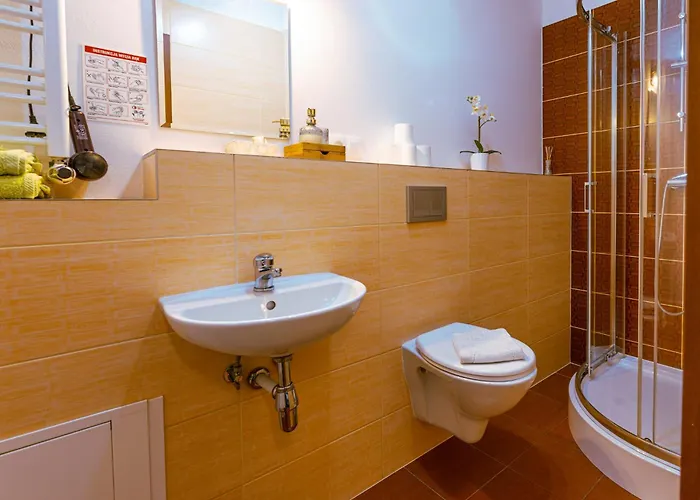 Rosa 홈스테이 카르파츠