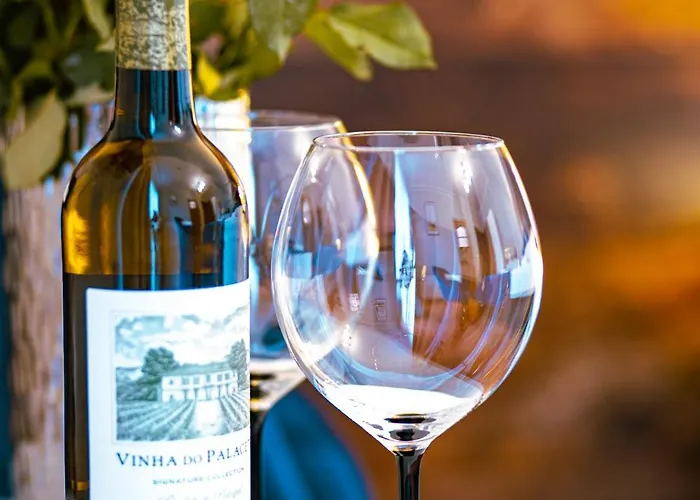 Rosa 홈스테이 카르파츠